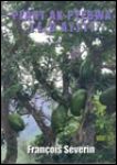 Plant ak pyebwa te d'ayiti - Haitian Book Centre - Livres haitiens, cr&eacute;ole, fran&ccedil;ais, anglais, litt&eacute;rature francophone, tout sur Haiti